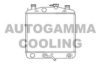 AUTOGAMMA 103907 Radiator, engine cooling